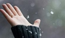 手臂的撕裂的痛谁会为我心碎句子