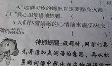 描写鸟的比喻句