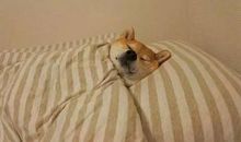 形容睡觉开心的句子说说心情