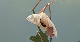 不可避免地会绊脚石