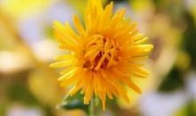 积极向上的个人说明