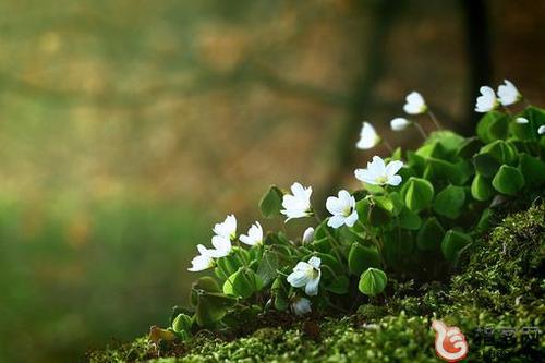 将来我们不愿忘记