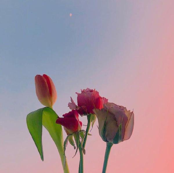 曾一度令人担忧