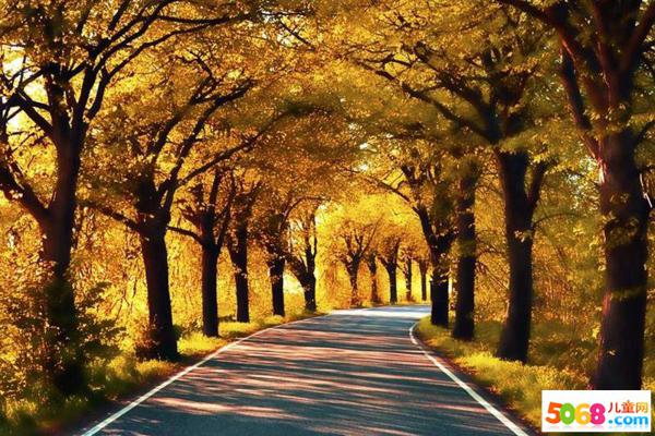 无论这些单词有多好