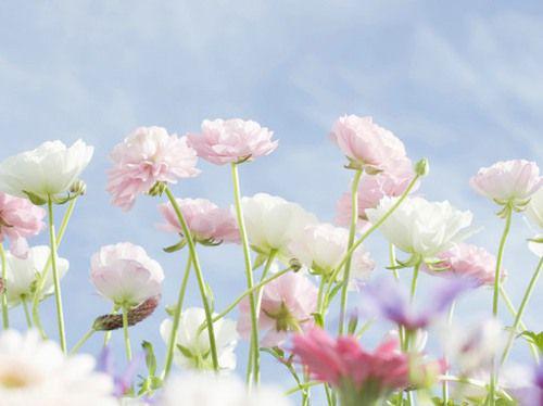 什么是写作情感动人的句子