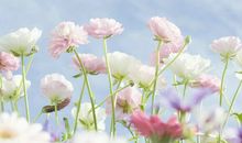 写亲情的感人句子