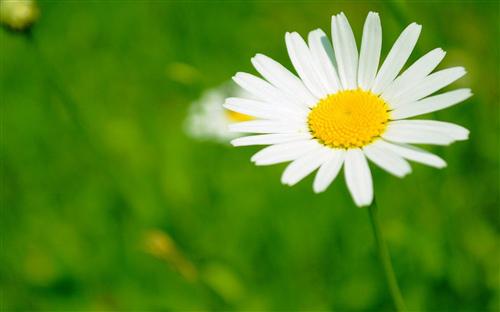 时间和经验将使我们遭受磨难和成熟