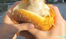 爆搞笑的一句话