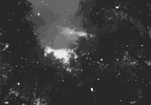 感情渴望着希望