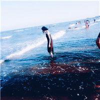 您准备了一篮子笑话