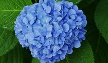 动作描写亲情的句子