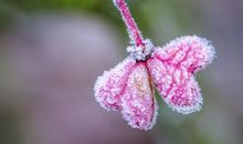 形容亲情的爱句子