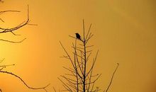 想念亲人的优美句子