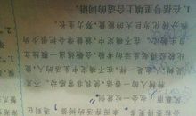 桃花心木优美句子