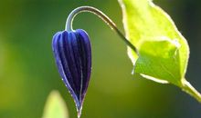 亲情思念的句子简短