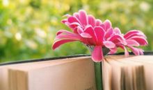 平平淡淡最真实的句子