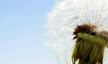 形容哥妹亲情的句子