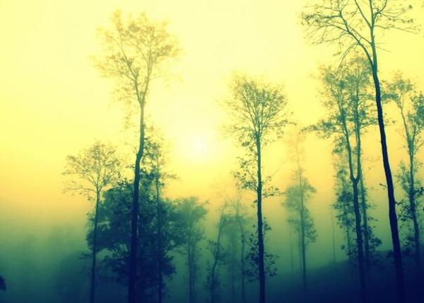 即使是对我自己