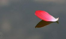 如果可以重来经典短句