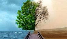 心灵鸡汤经典语录：抢得走的东西，原本就不属于你