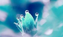 好的句子摘抄：用心甘情愿的态度，过随遇而安的生活