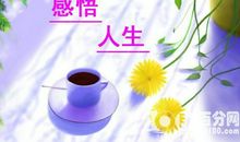 对人生的感悟格言