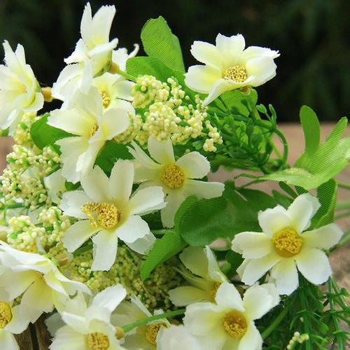 编辑编了一些关于珍惜和家庭之爱的句子