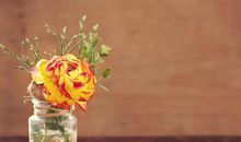 表达对一些人失望的句子