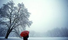 对大家庭失望的句子