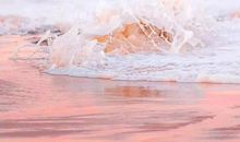 对姐弟失望的句子