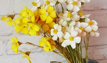 珍惜和亲情的句子