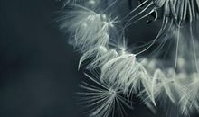 2019形容两个人幸福的句子