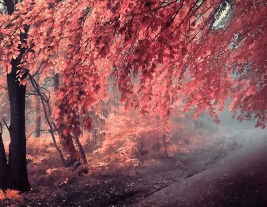 这个世界上没有人对不起