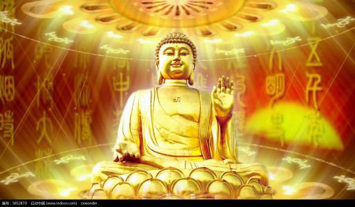 佛陀以佛陀的心热爱世界