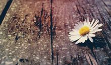 致敬疫情前线医护人员口号 关于疫情医护人员的口号