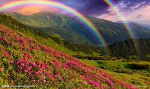 生活开心的句子