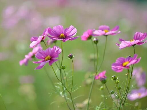 在人生的最佳时期