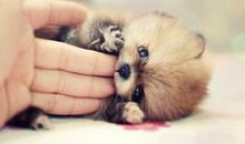 搞笑又精辟的话语：僵尸兴奋地打开你的脑壳，然后失望地走了