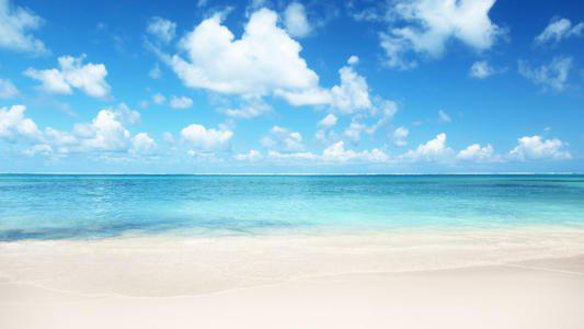 编辑器编辑了一些简单的句子来描述幸福