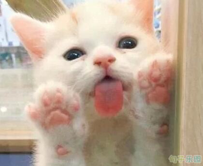 幽默是一件非常神奇的事情