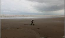 生活不容易经典句子