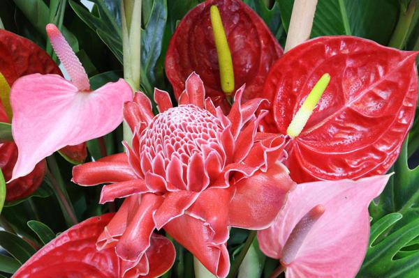 祝您在新的一年有很多计划