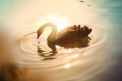 以下是小编为大家形容太阳的优美句子