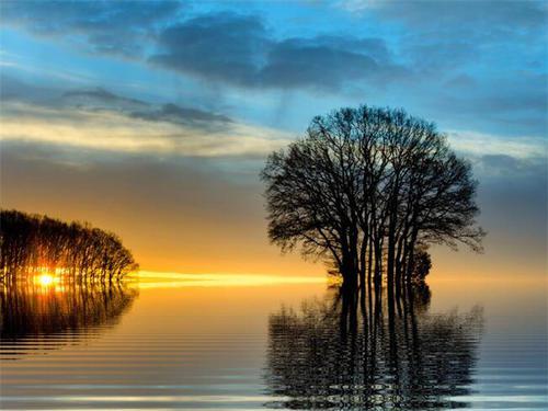 那些认为这两个人在一起做过最浪漫的事情的人