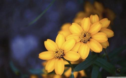 我们只热爱工作