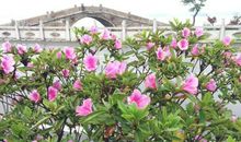 禅语的感悟人生句子