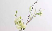 描写家居的优美句子