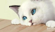 关于心里难受的唯美句子