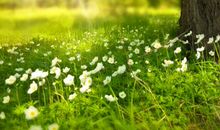 工作的感悟句子50句