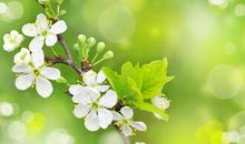 我会想你的句子